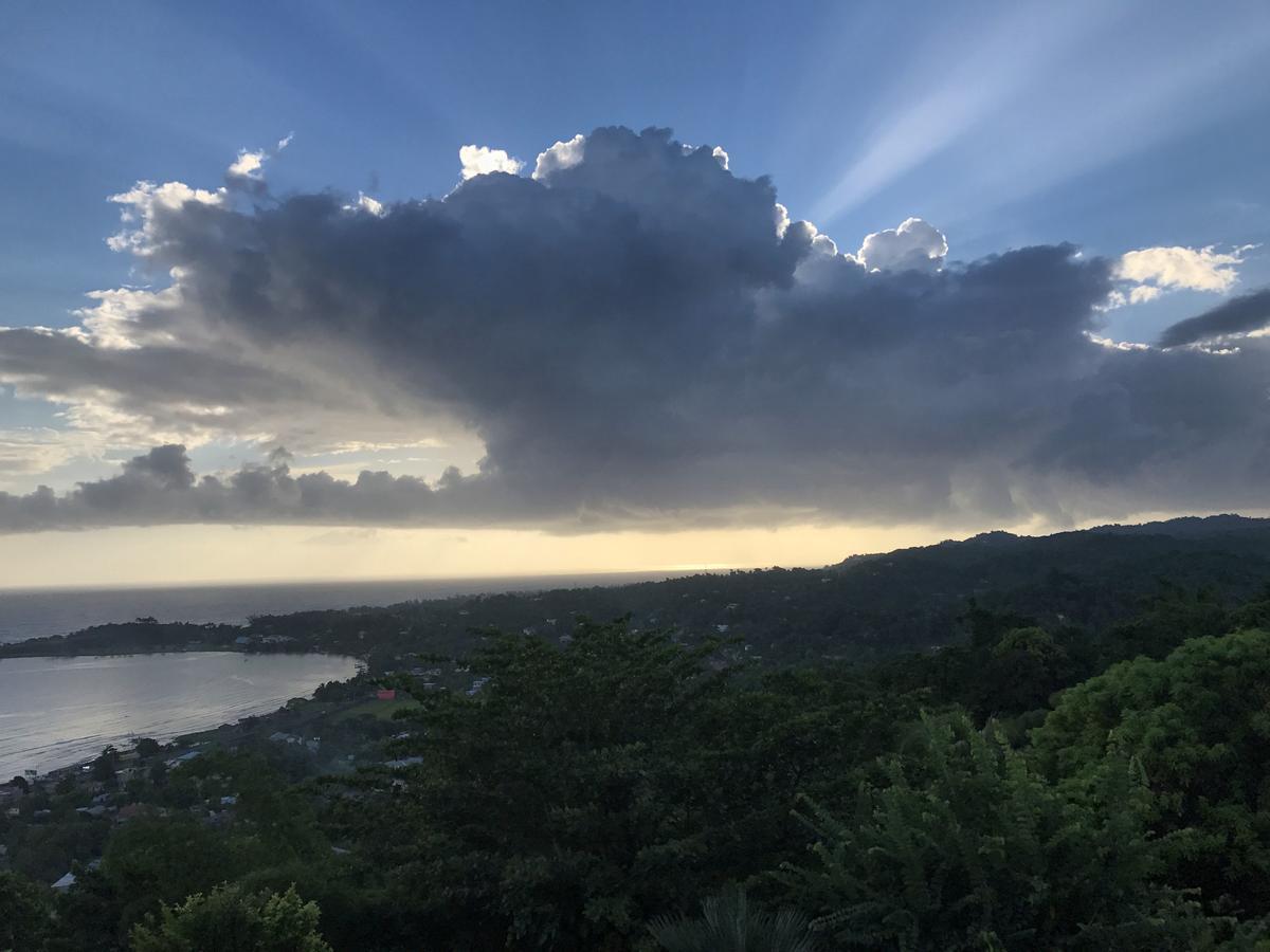 Treetops Villa ปอร์ตอันโตนิโอ ภายนอก รูปภาพ